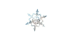 eternal snowflake treasure item granblue fantasy relink