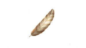 griffin feather treasure item granblue fantasy relink