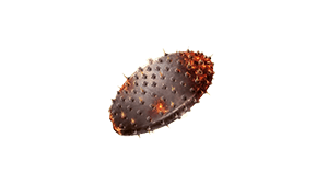 red hot cactus treasure item granblue fantasy relink
